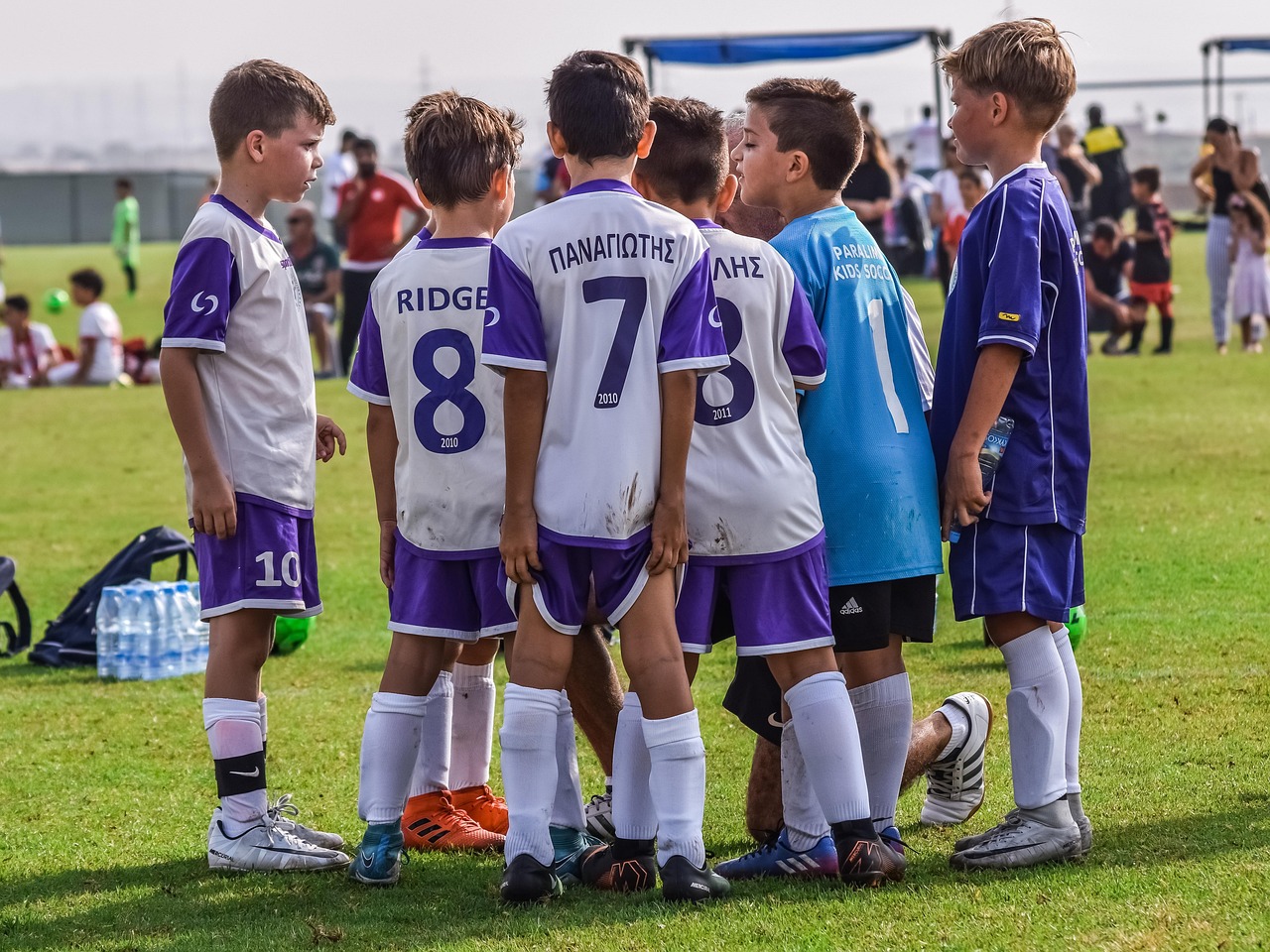 阿里手机卡实名账号：直播代理平台排名