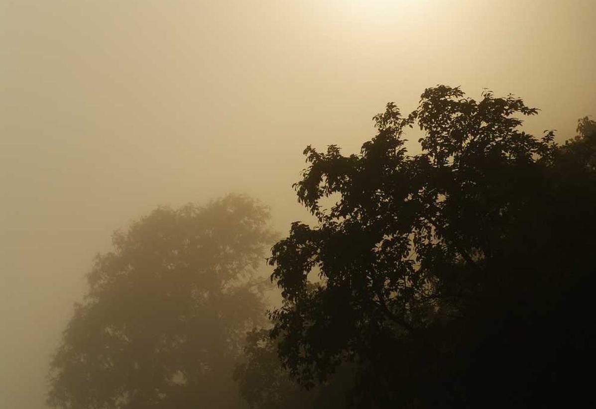 高德注册美服账号密码怎么设置