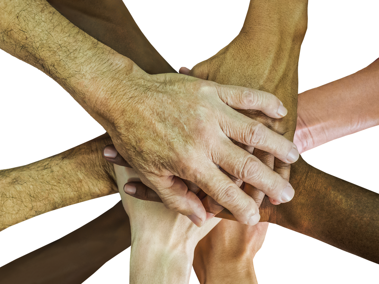 铁塔猫烟花葡萄珠（细）：海南海口代理注册公司注册