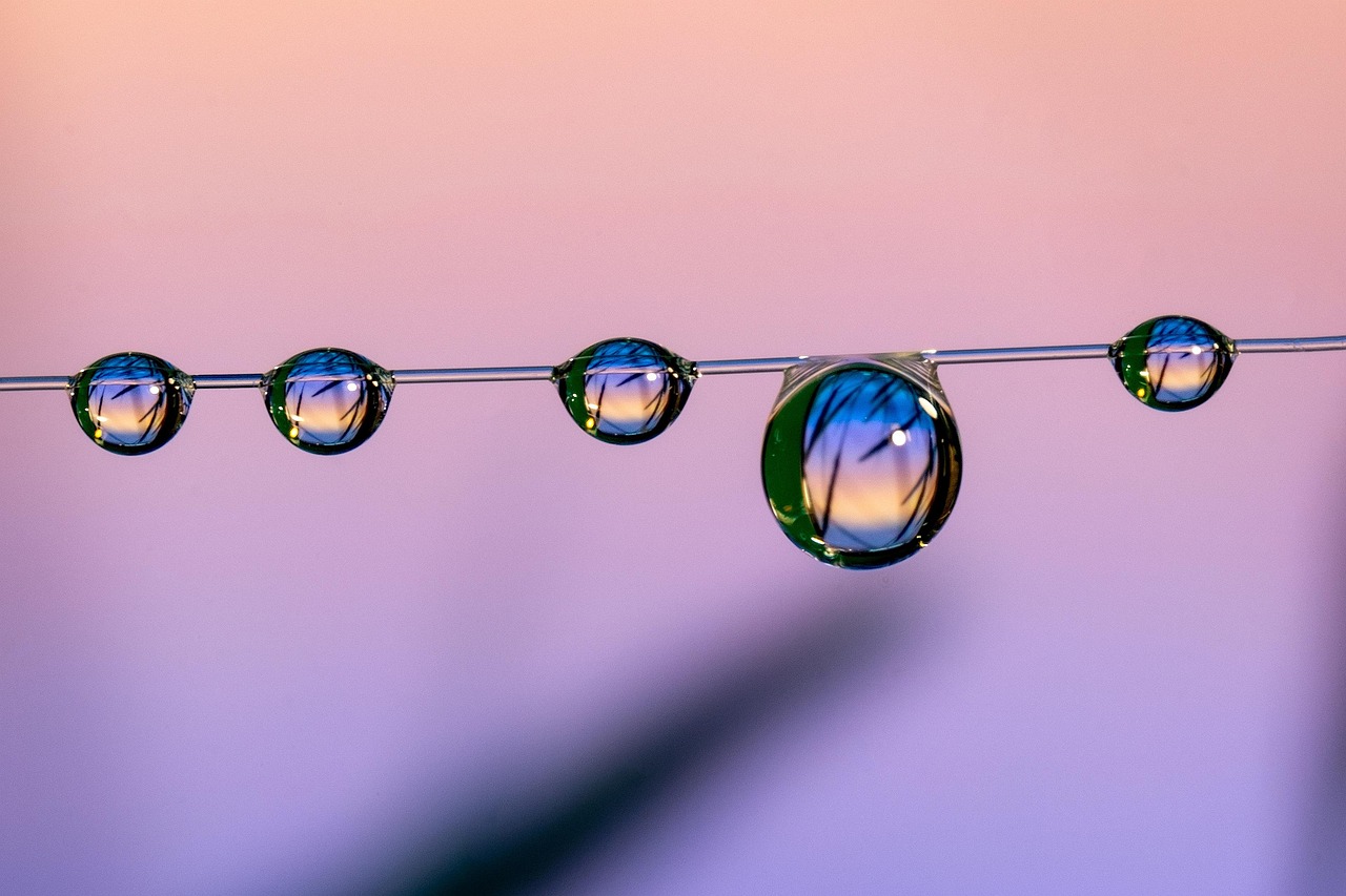 衡天云实名账号:江西书画交易平台代理加盟