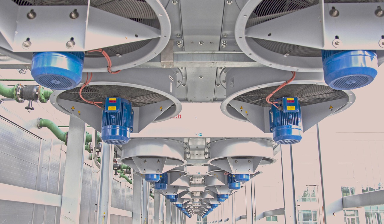 分发实名账号：生鲜线上购买平台