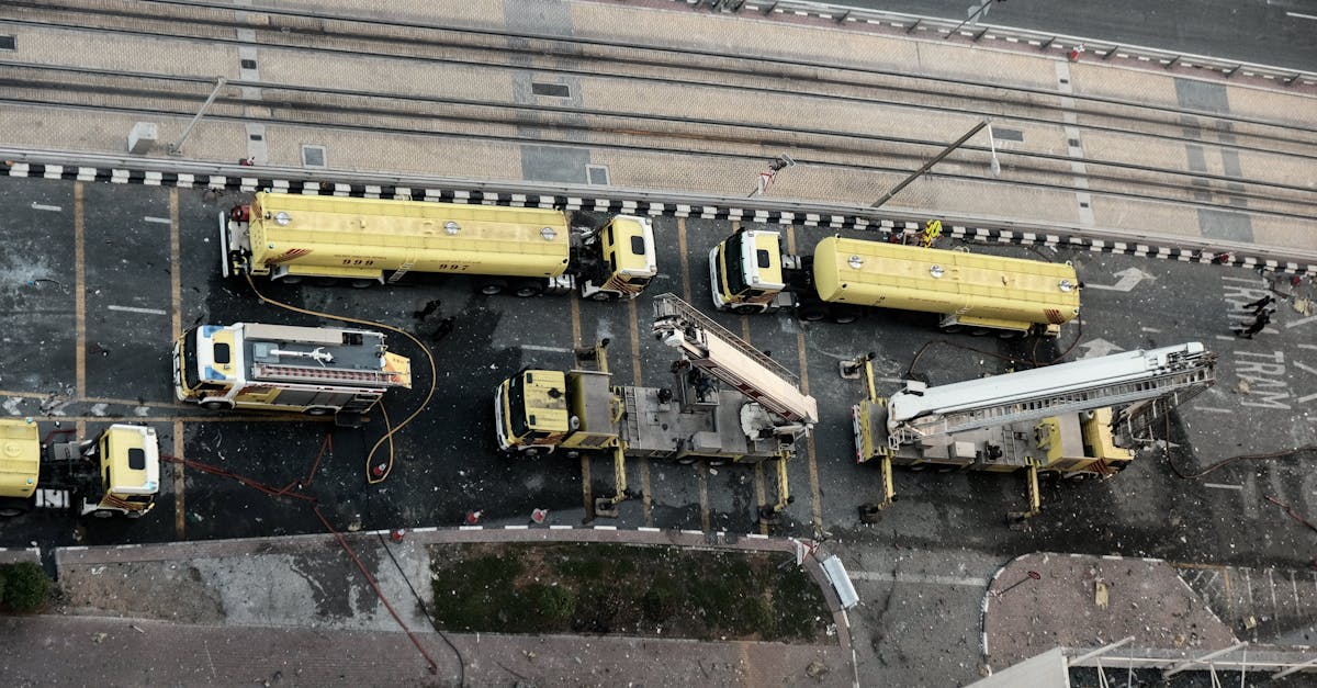 DogYun实名账号：开云团队竞技app苹果详情下载教程