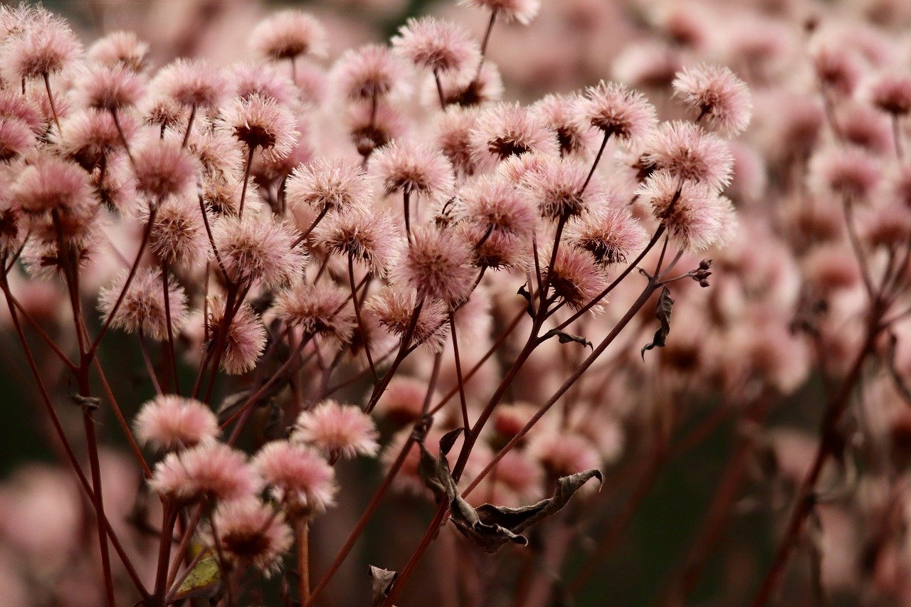 魔方云实名账号：仙居注册代理记账标准