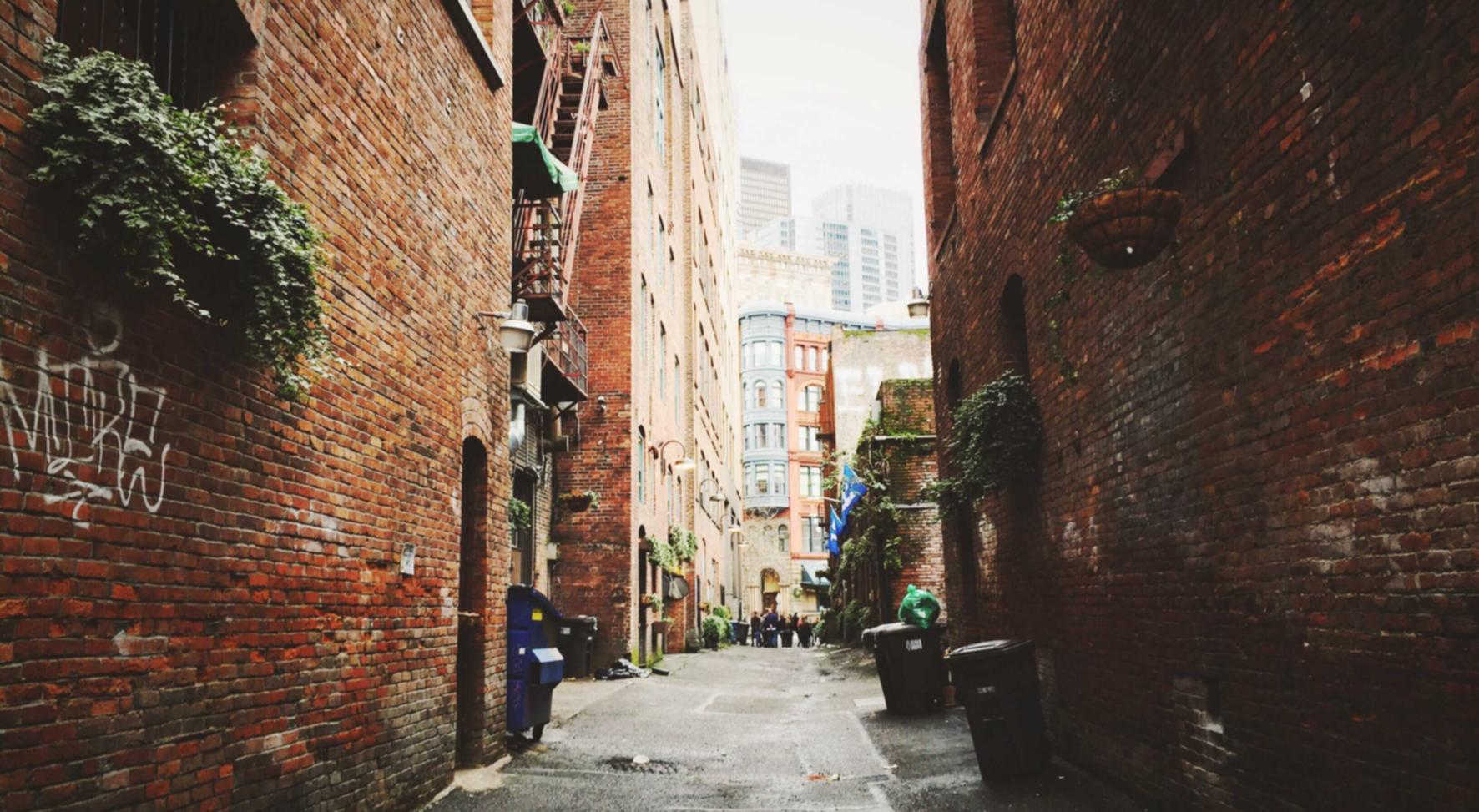 vx号出售：乳山新振华在线购买平台