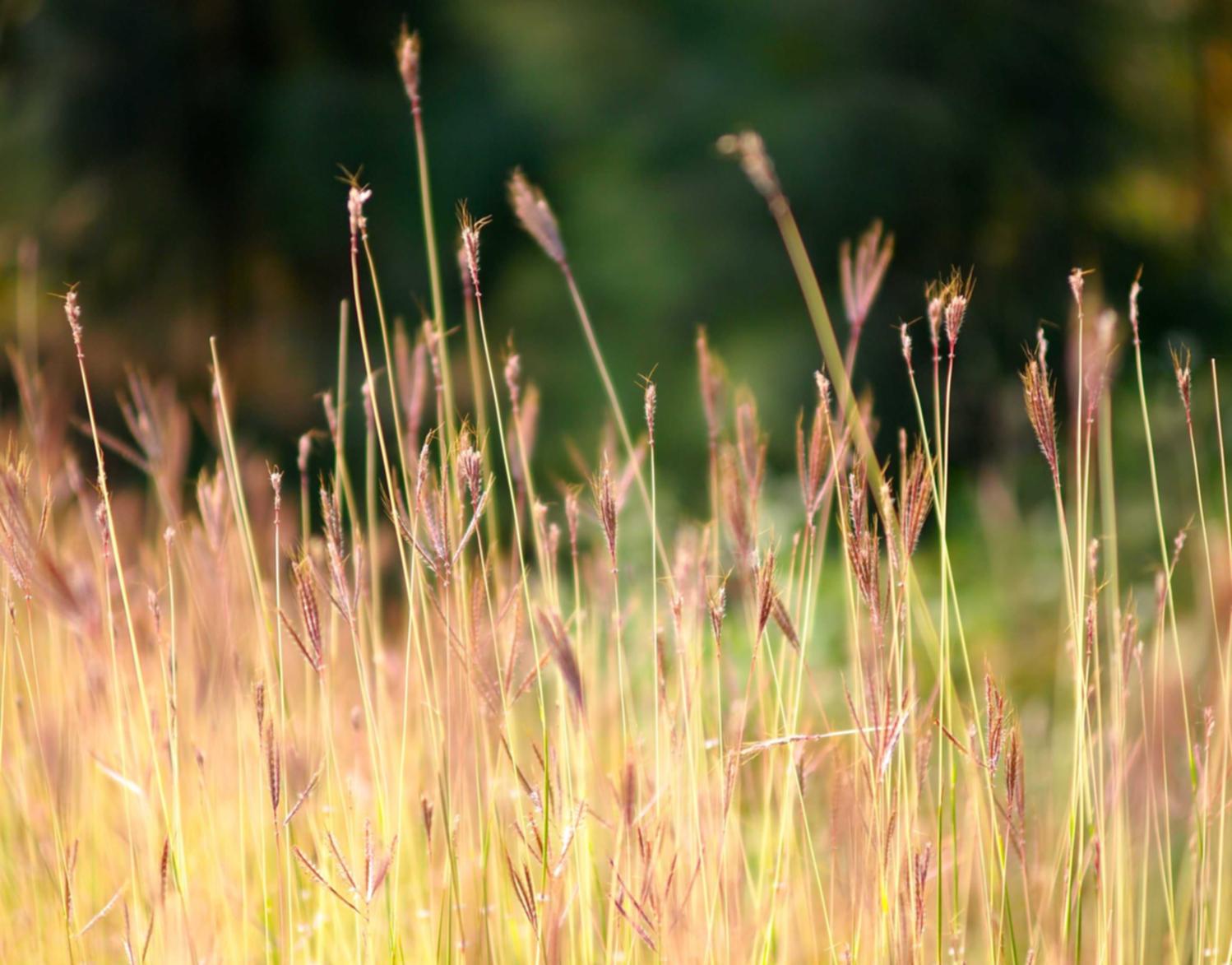 魔渊之刃：盈客云测试账号注册