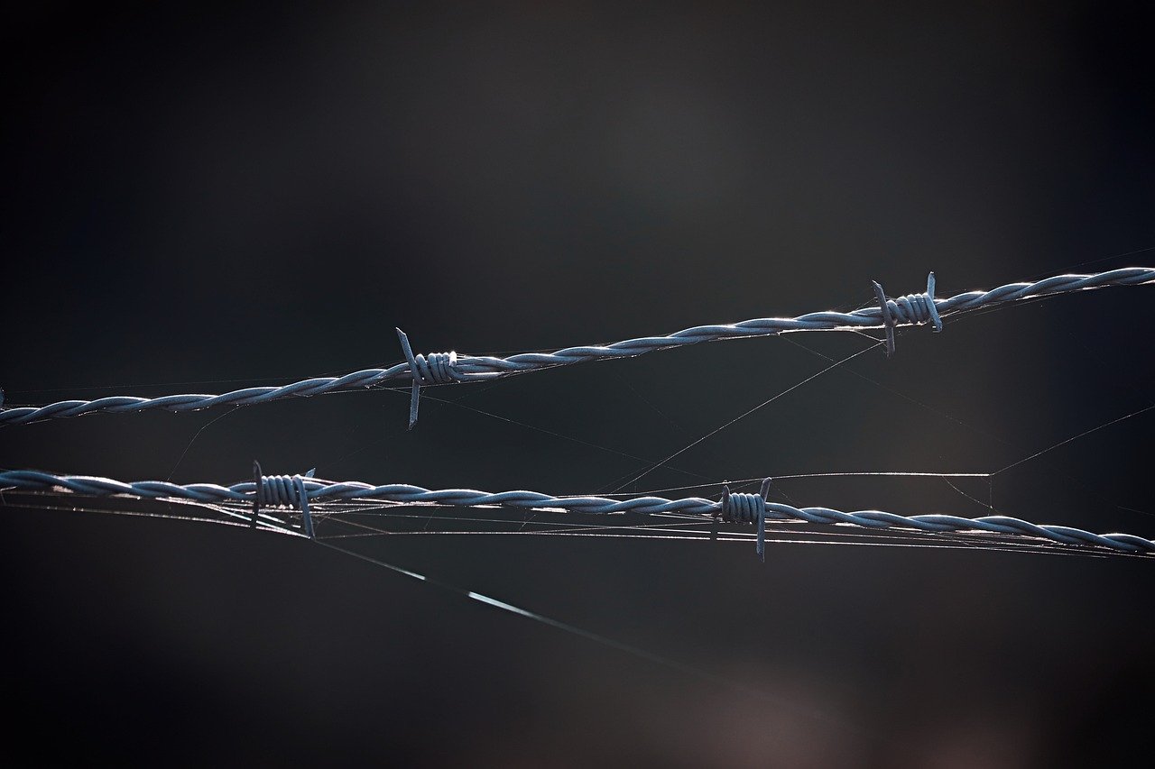 红豆电信实名账号：淘宝手机怎么注册账号